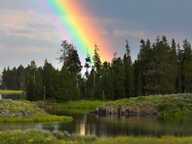 The Best Violin Camp in Idaho